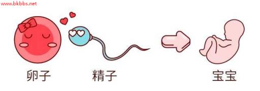做一次试管需要多久?需要辞职吗?听医生说完心里终于有谱了