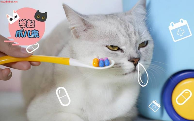 养猫经验:猫咪几个月驱虫