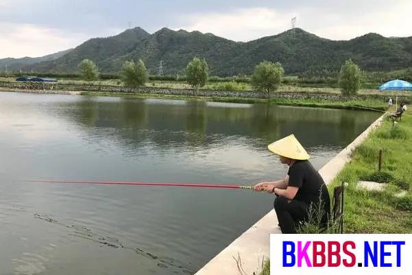 钓鱼的技巧和方法 钓鱼技巧及方法