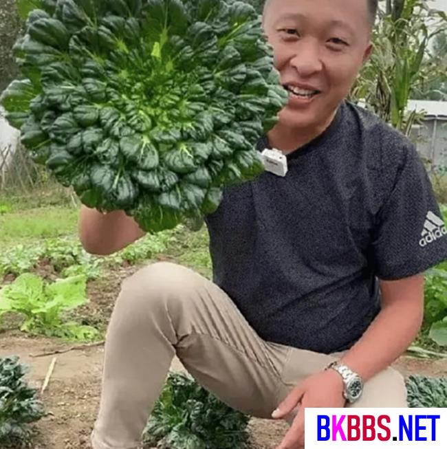 80后山东夫妻， 放弃5万月薪， 回村种菜， 一天卖了120万， 凭啥？