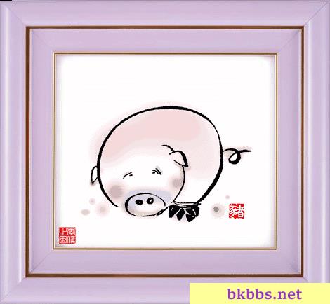 女属马男属猪配对详解