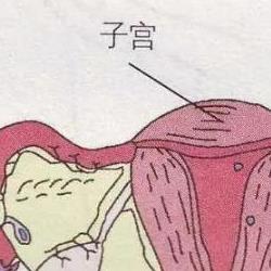 如何正确认识宫颈炎