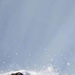 滑雪单板容易还是双板好学