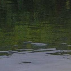 水库钓鱼技巧,水库钓鱼方法,水库钓大鱼技巧