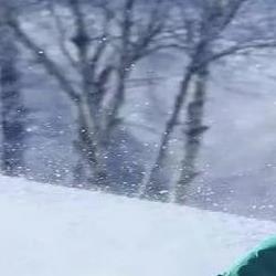 滑雪单板容易还是双板好学