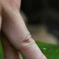 鱿鱼怎么去皮
