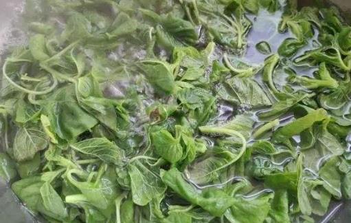 野菜的错误认识 过量食用或许反而危害健康