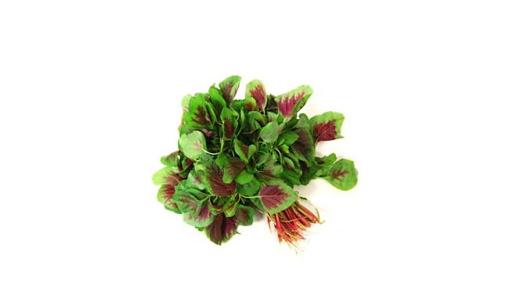 米苋菜是什么？米苋菜有什么功效？