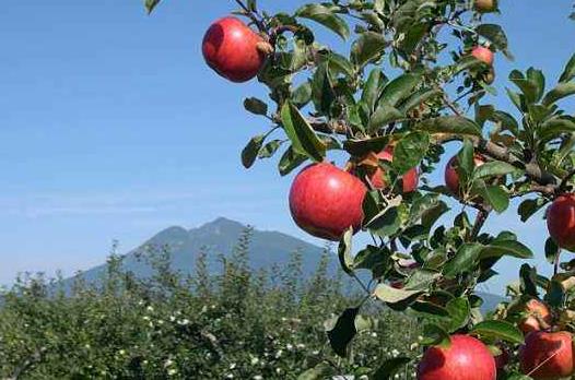 日本青森县十大旅游景点排行榜 青森县有什么好玩的地方