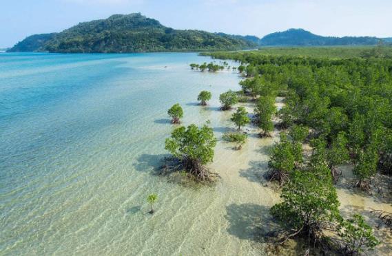 日本冲绳县十大旅游景点排行榜 冲绳县有什么好玩的地方