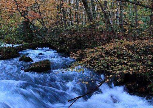 日本青森县十大旅游景点排行榜 青森县有什么好玩的地方