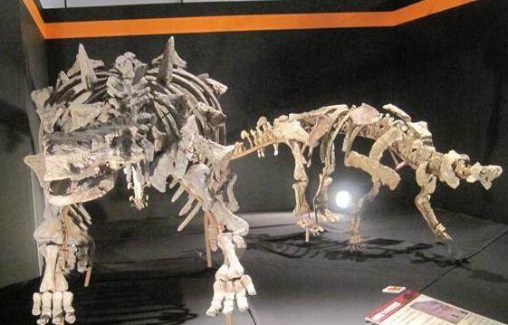 老挝十大旅游景点排行榜 老挝有什么好玩的地方