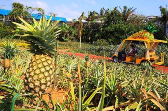 日本冲绳县十大旅游景点排行榜 冲绳县有什么好玩的地方