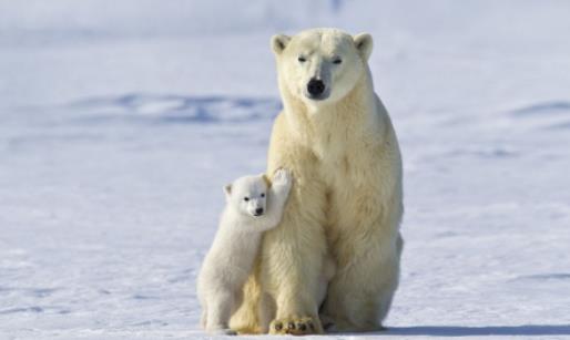 加拿大马尼托巴省十大旅游景点排行榜 马尼托巴省有什么好玩的地方