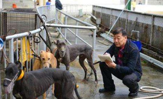 澳门花地玛堂区十大旅游景点排行榜 花地玛堂区有什么好玩的地方