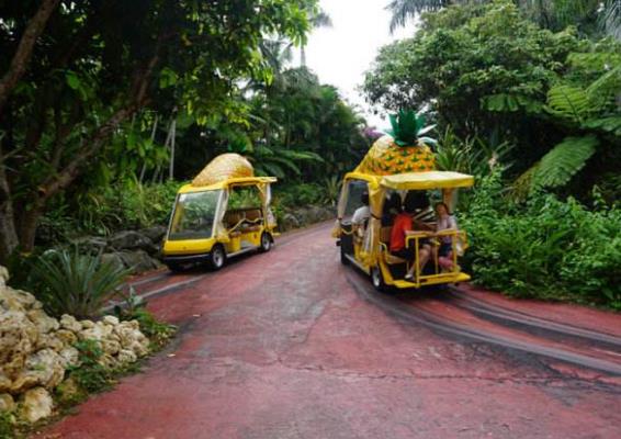 日本冲绳县十大旅游景点排行榜 冲绳县有什么好玩的地方