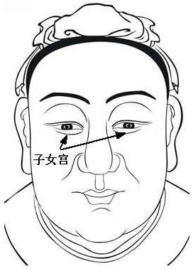 面相算命图解：面相十二宫图之子女宫