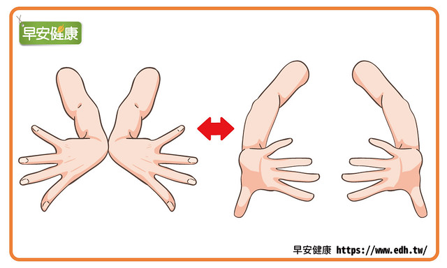 手腕运动2:掌莲花