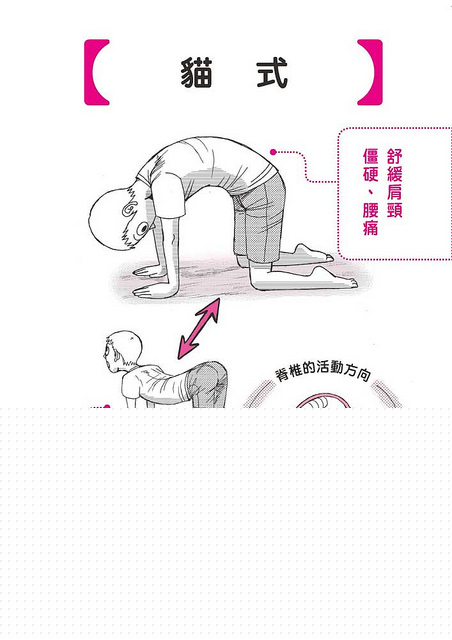舒缓放鬆懒人瑜伽:猫式