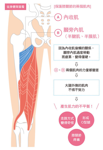 膝关节疼痛的原因是?