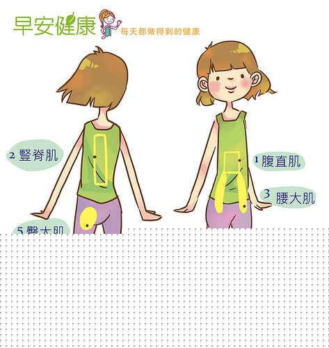 竖脊肌位置