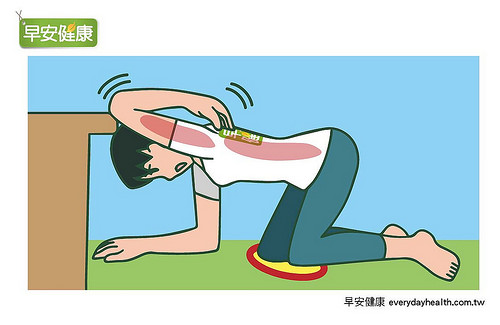 刺激肩胛骨周围的褐色脂肪细胞,促进燃脂