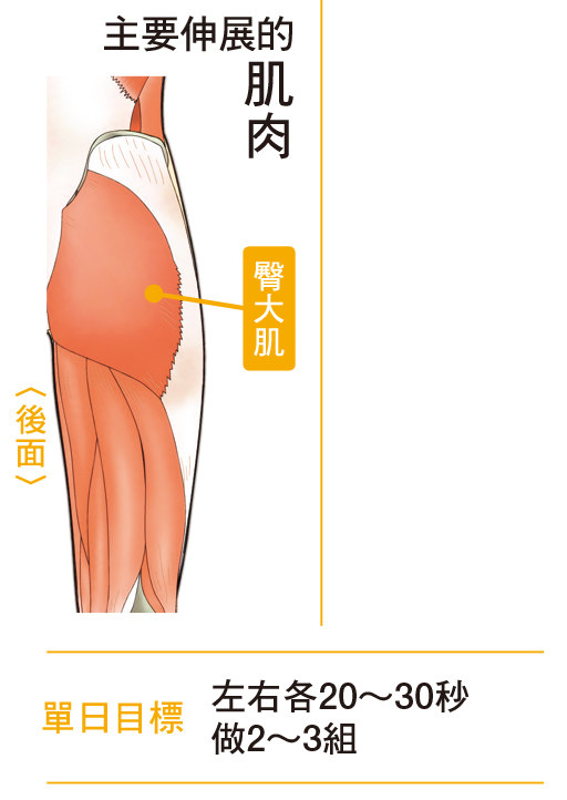 浅坐在椅子的伸展操,可有效伸展臀部肌肉。