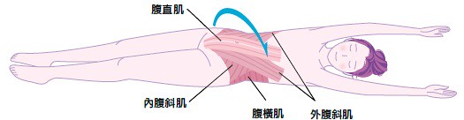 针对容易衰弱、经常下垂的腰腹周围肌肉,就以翻身伸展操来锻鍊