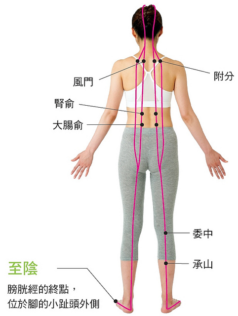 膀胱经穴位