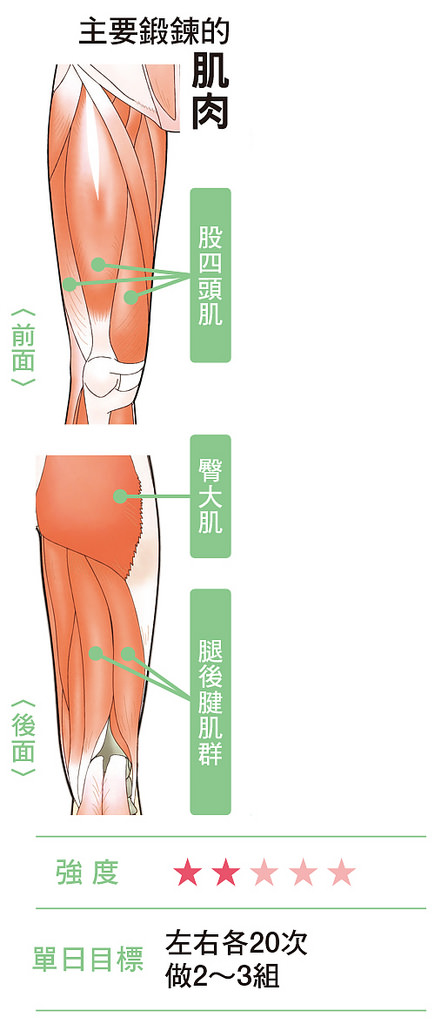 分腿蹲有助锻鍊股四头肌、臀大肌等肌肉,提高代谢瘦全身。