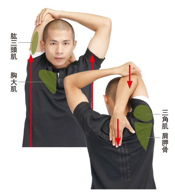 拉筋伸展操➋ 压肘