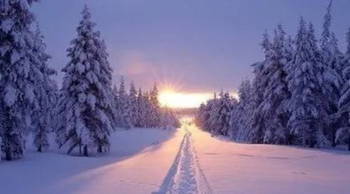 2021年冬至出了太阳是不是要下雪1