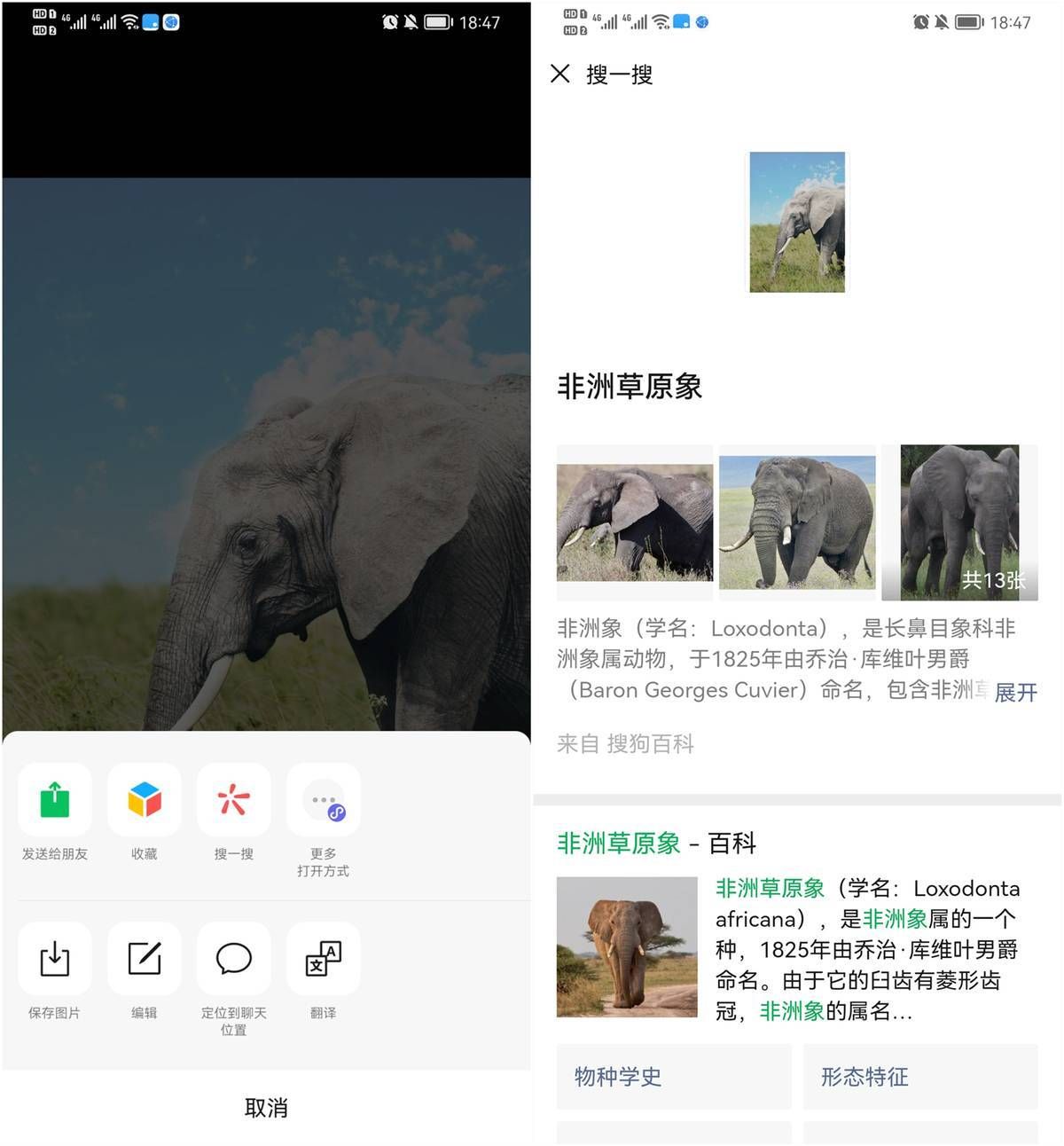 百度才不会告诉你的,4种精准、无广告的搜索方式