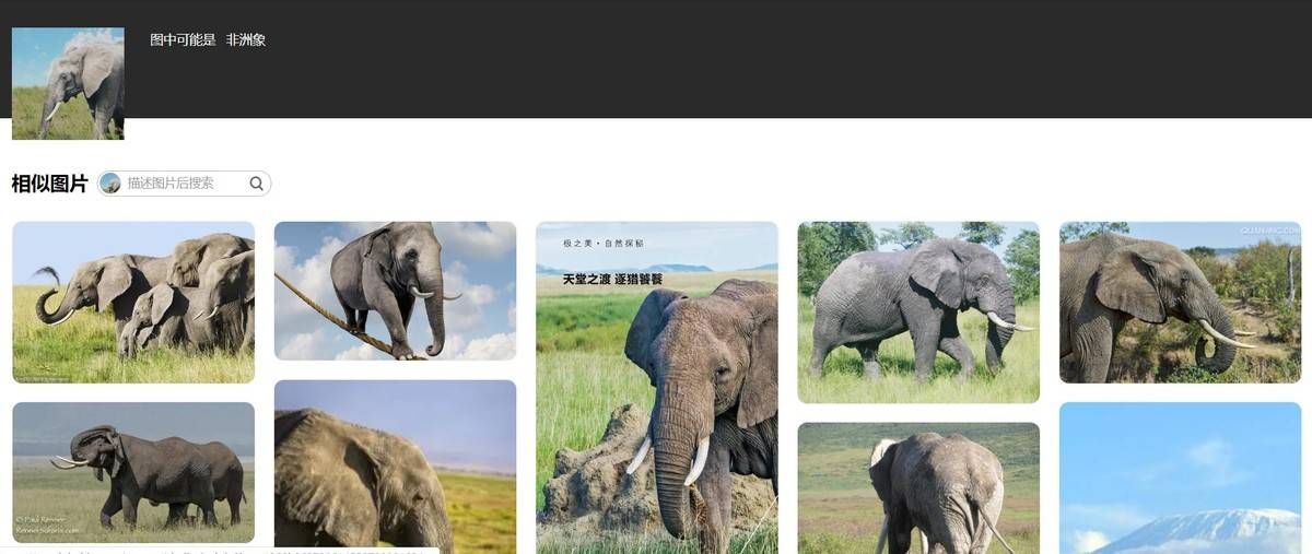 百度才不会告诉你的,4种精准、无广告的搜索方式