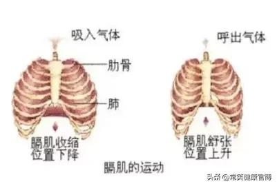 跑着、走着、躺着突然就岔气了?怎么快速解决这种“呼吸痛”?