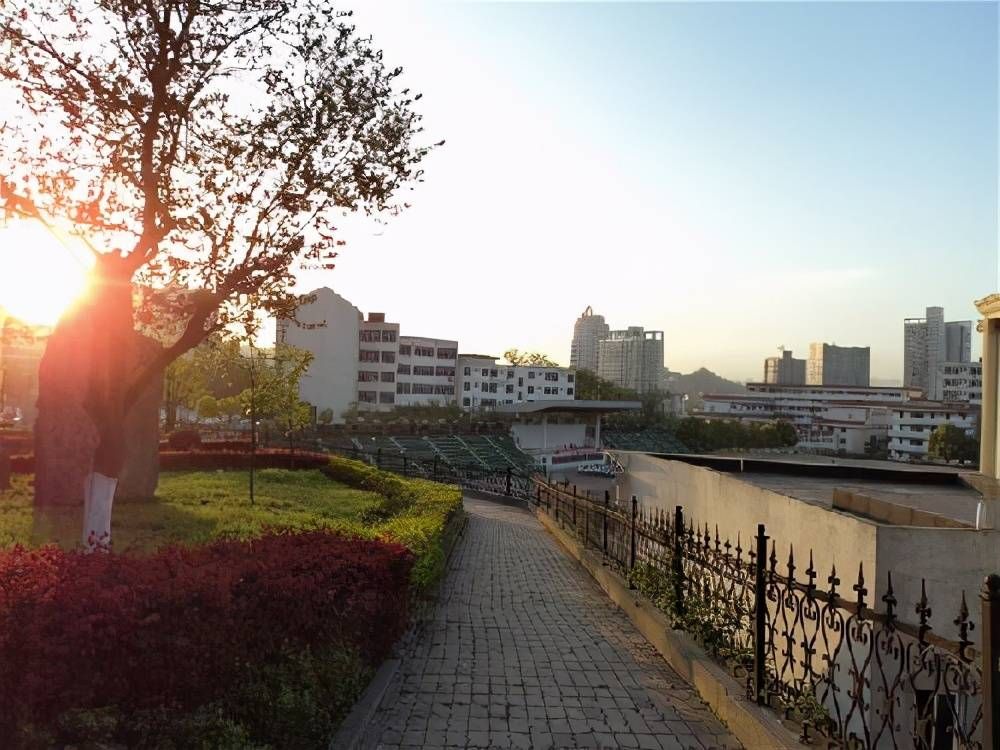 盘点全国仅有的四所医药院校,二本低位录取学医值得推荐