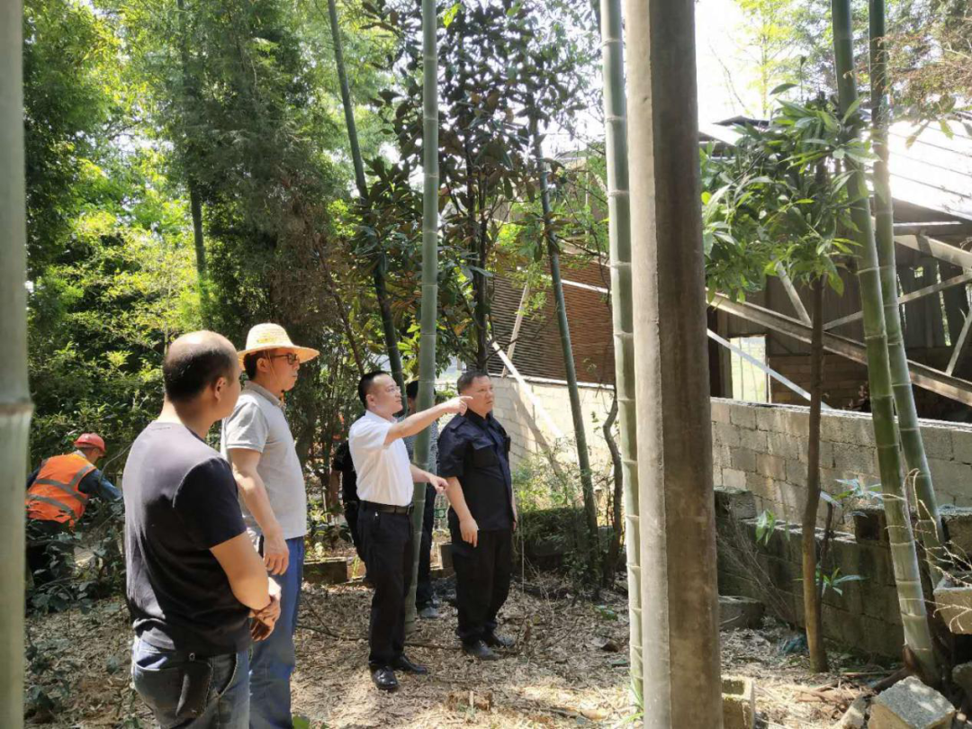 沙坪街道:大干一百天 跑出加速度│“大干一百天实现双过半”系列报道