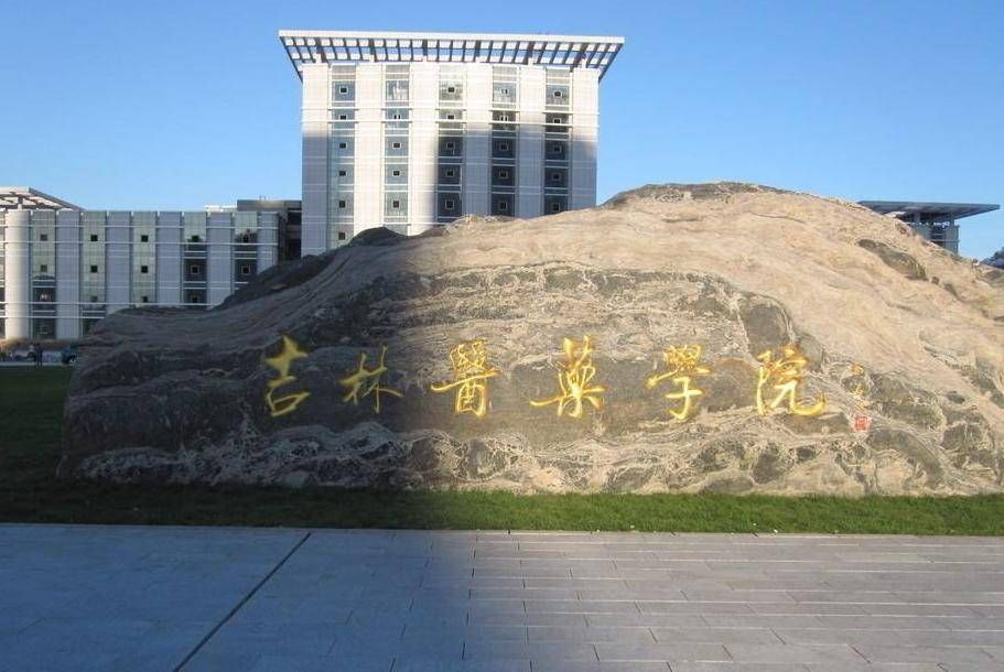 盘点全国仅有的四所医药院校,二本低位录取学医值得推荐