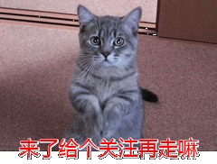 ACANA爱肯拿猫粮怎么样?爱肯拿猫粮全面测评