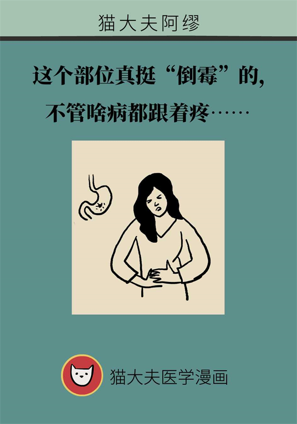 肚子疼究竟是哪儿疼？医生教你准确辨别 