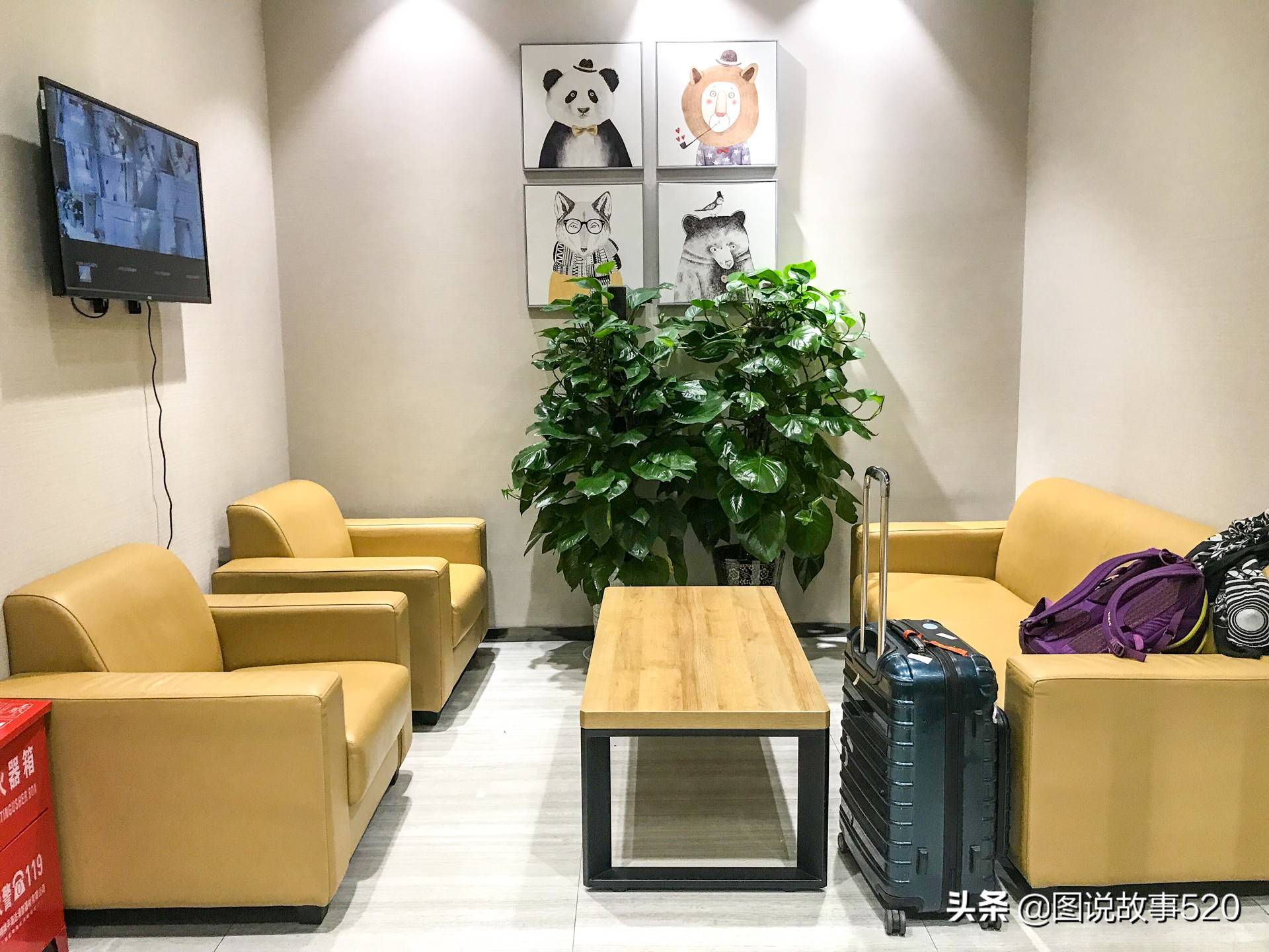 机场现“胶囊旅馆”,全天房260钟点房44元,你会住吗?