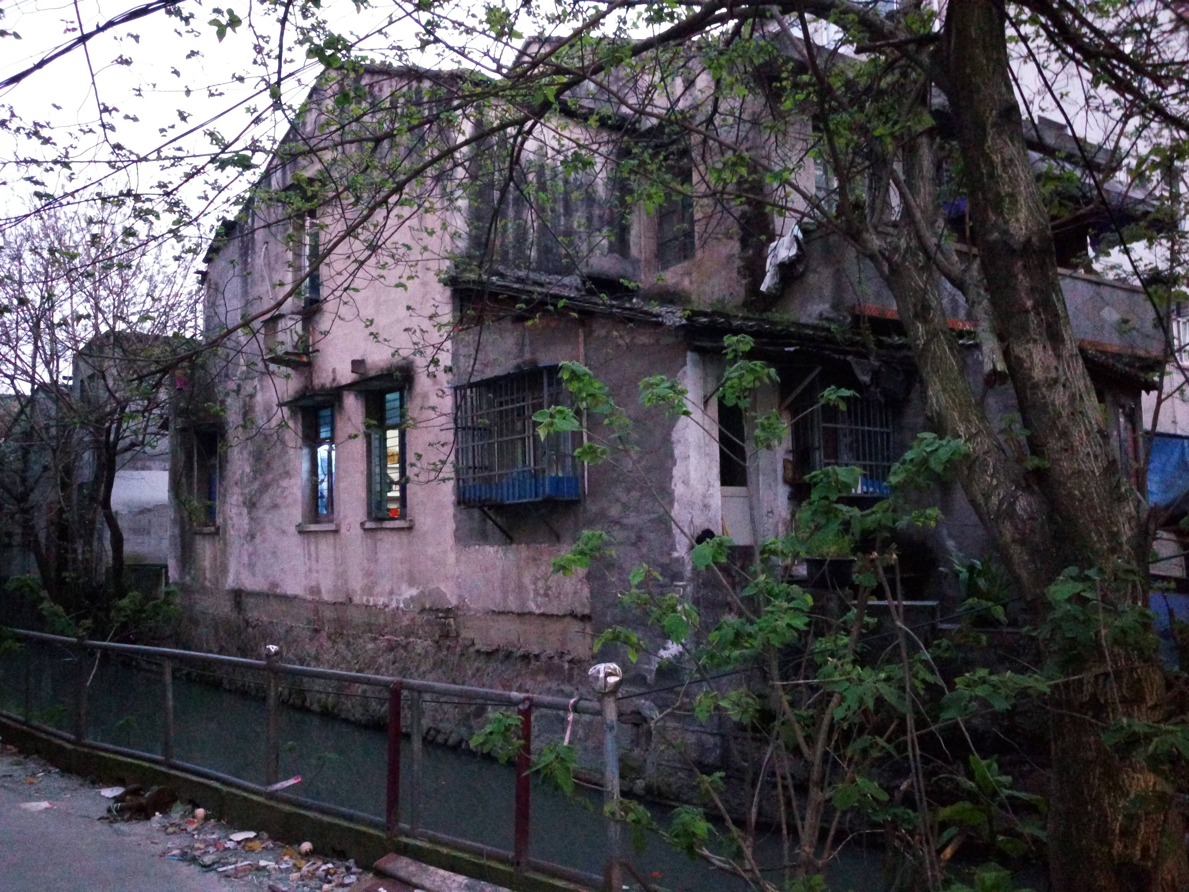 记录大建大美中的温州:瓯海区汇头路的巷子里,人去楼空全是废墟
