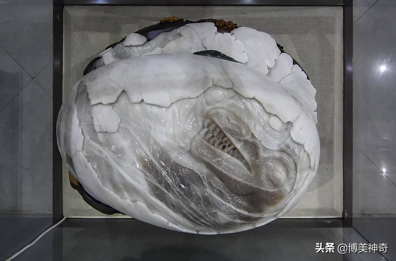 探秘中国的侏罗纪公园,亿万年前恐龙宝宝的出生地,竟隐藏在这