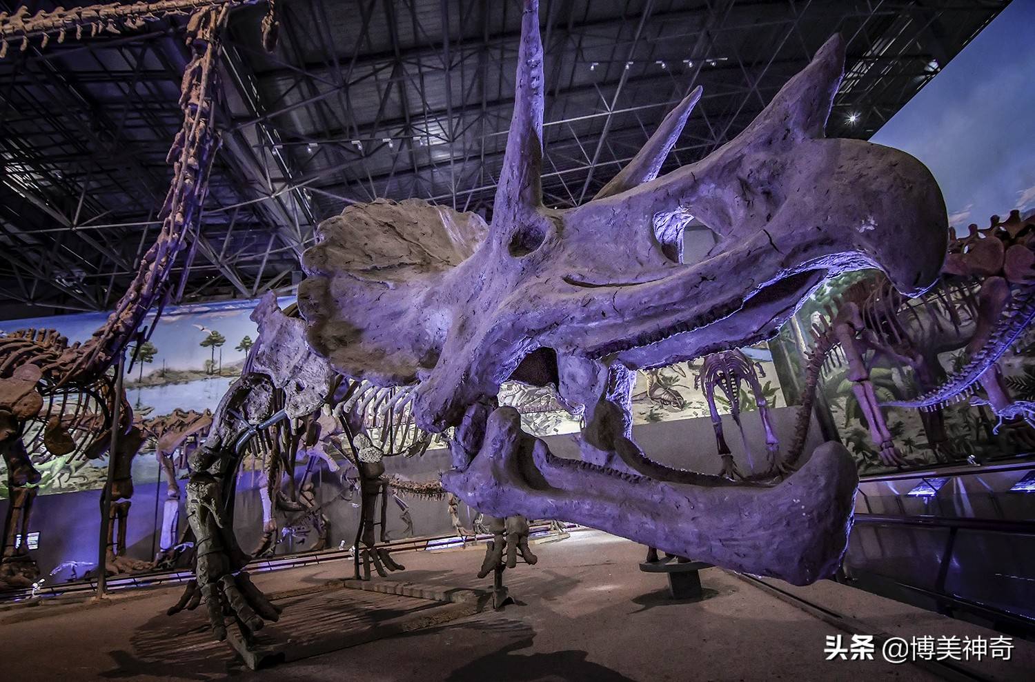 探秘中国的侏罗纪公园,亿万年前恐龙宝宝的出生地,竟隐藏在这