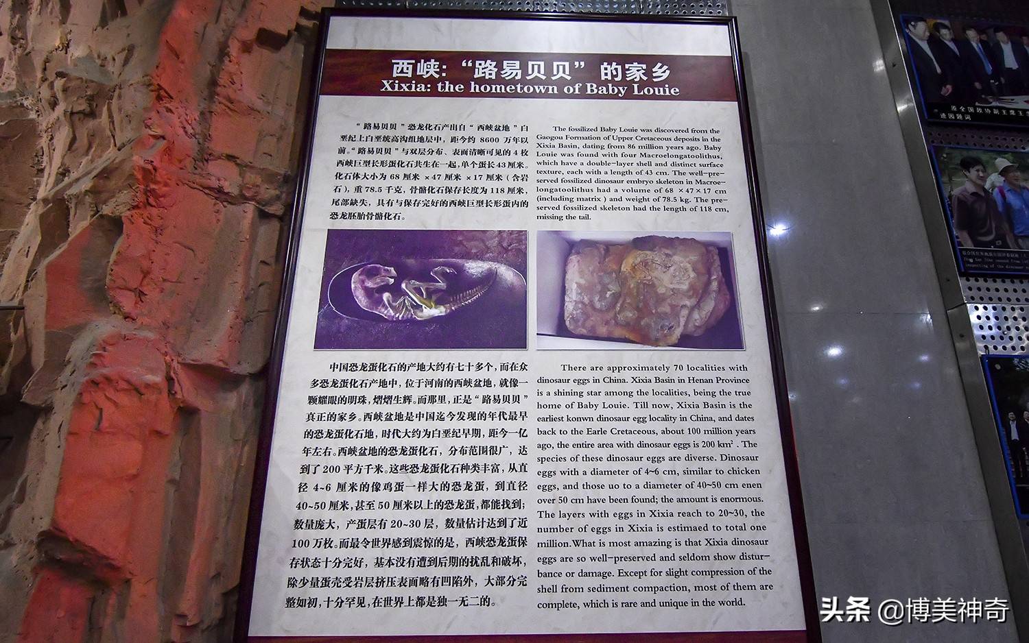 探秘中国的侏罗纪公园,亿万年前恐龙宝宝的出生地,竟隐藏在这