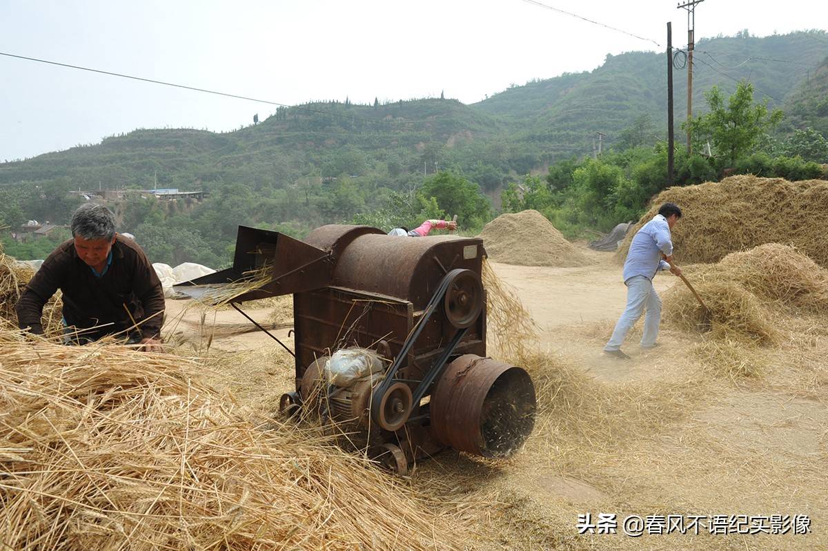 麦子熟了,9张照片让你知道当年碾麦场上的情景,重温农耕记忆