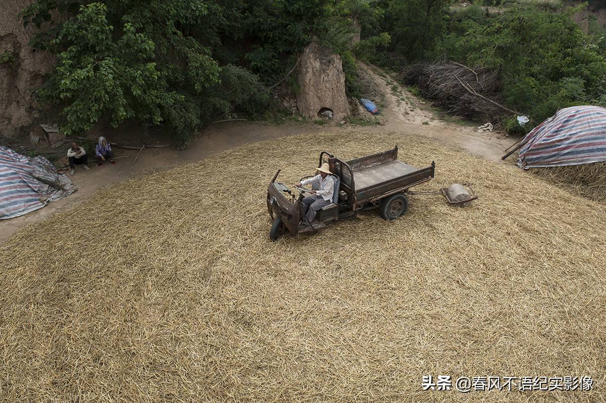麦子熟了,9张照片让你知道当年碾麦场上的情景,重温农耕记忆