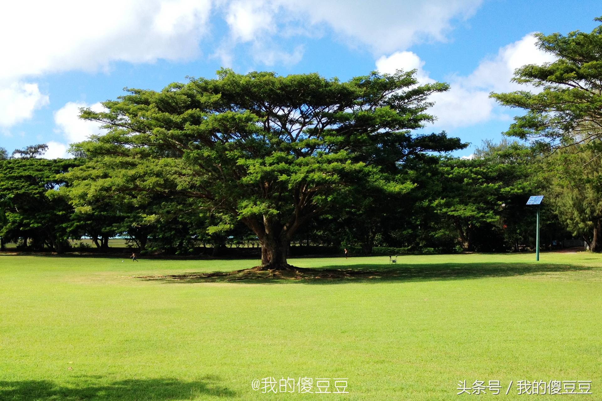 6小时直飞 免签入境 实拍塞班岛:中国人到美国最省心的地方”