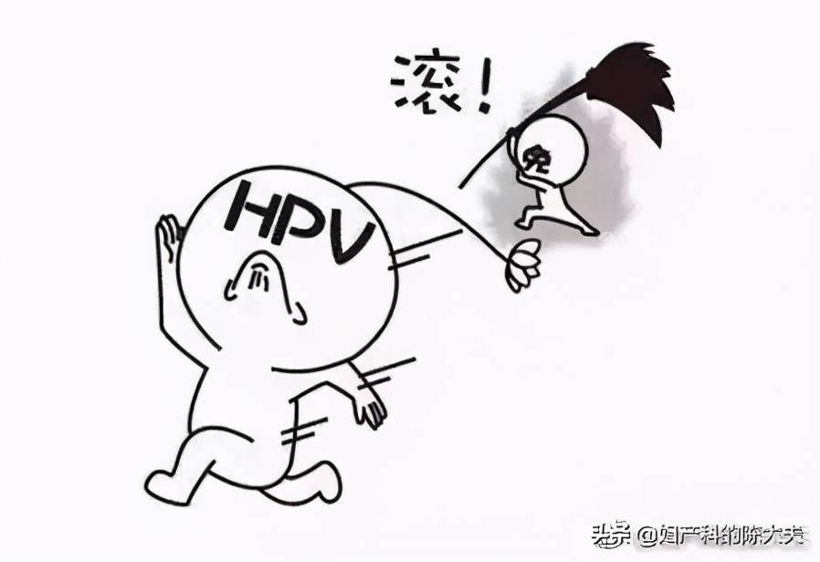 「今日陈大夫营业之」关于HPV感染的复查时间,我有话要说