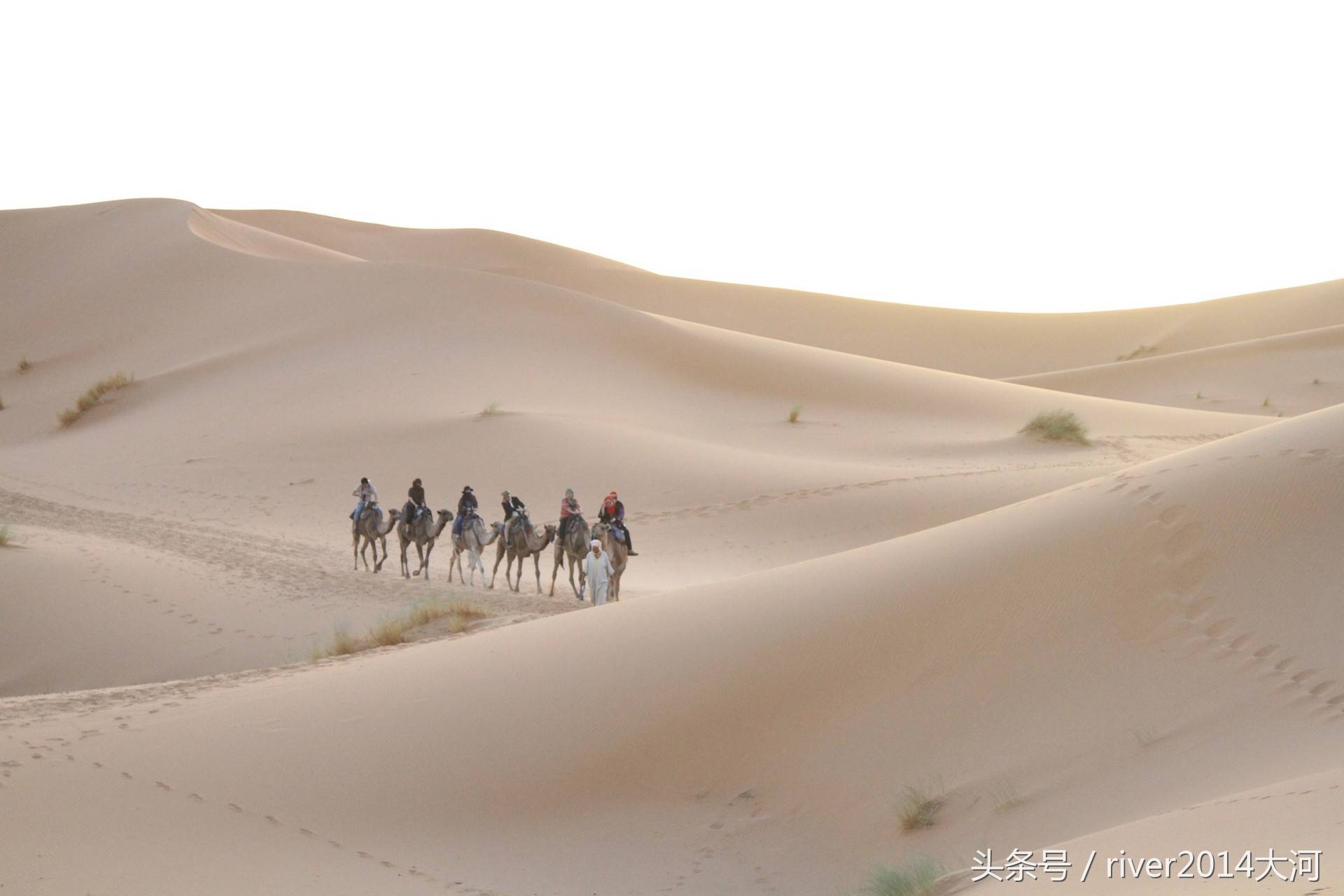 世界上最大的沙漠,跟美国面积差不多大,已是旅游景点